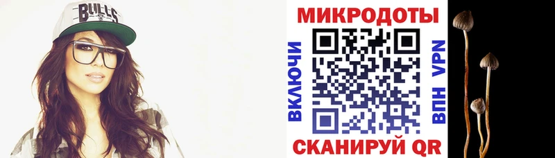 Псилоцибиновые грибы Psilocybine cubensis  цены наркотик  Чапаевск 