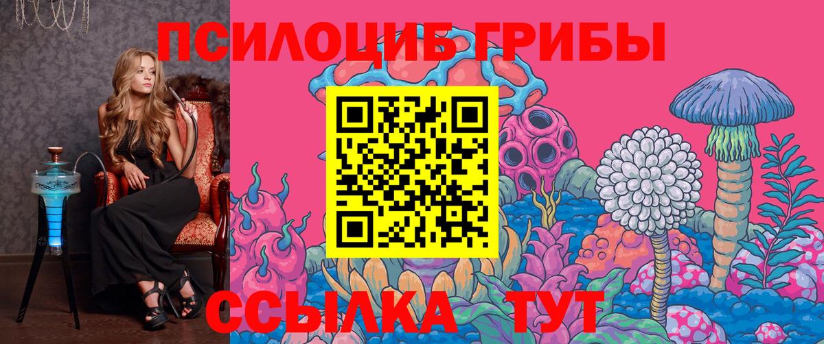 купить наркоту  Чапаевск  Галлюциногенные грибы ЛСД  Псилоцибиновые грибы мицелий 