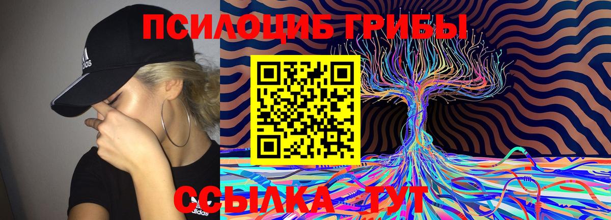 Псилоцибиновые грибы ЛСД Чапаевск