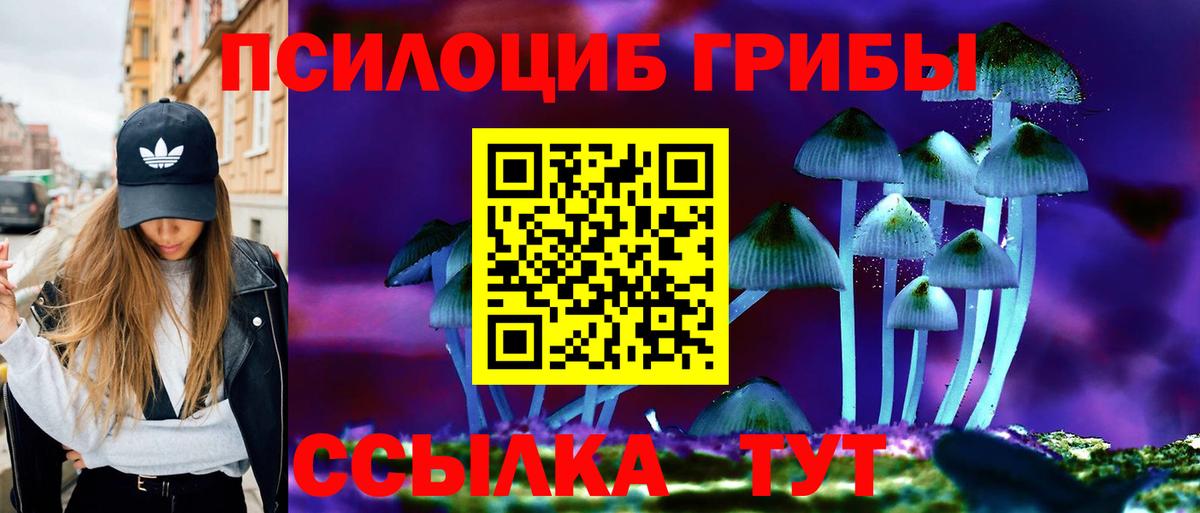 Псилоцибиновые грибы мухоморы Чапаевск