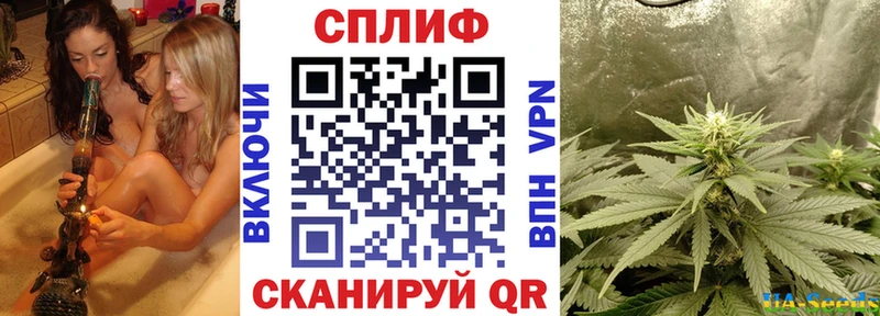 Бошки марихуана SATIVA & INDICA Чапаевск
